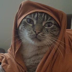 Meet your Posher, Lanie